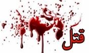 راز قتل شبانه در خیابان‌های قلعه نو کشف شد