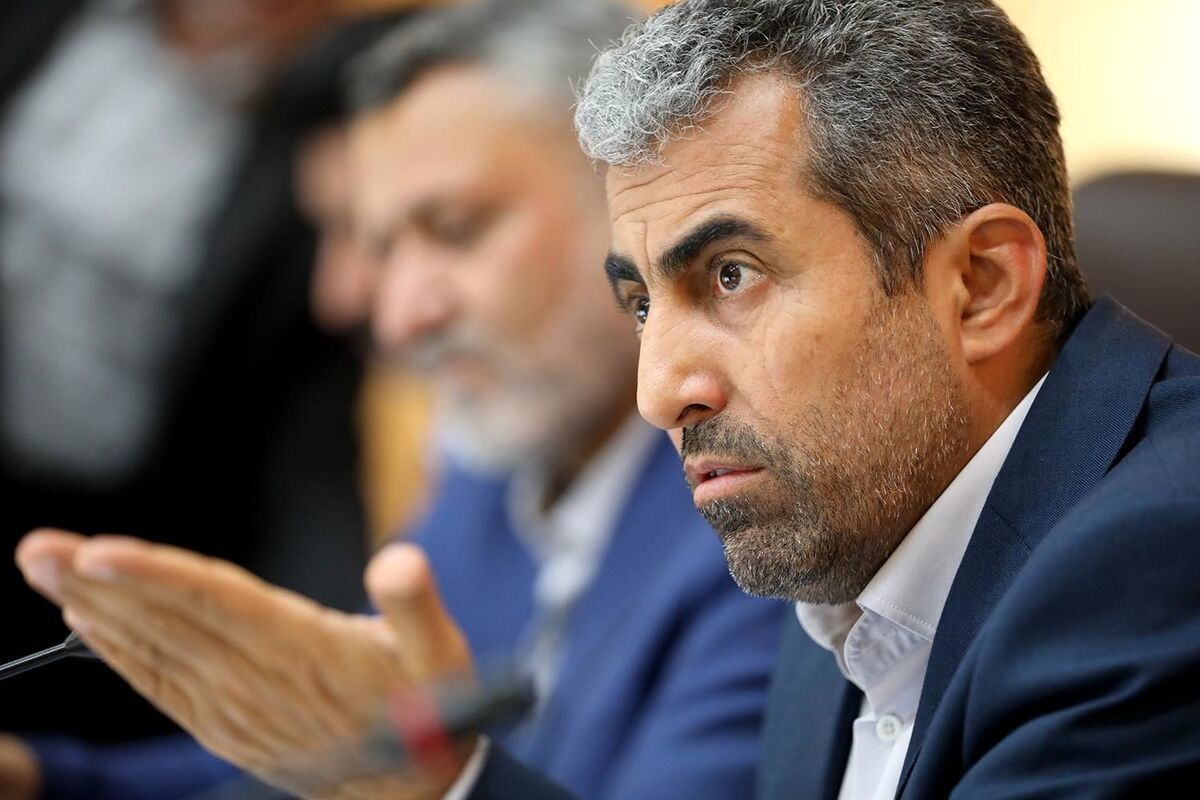 بیانیه اعتراضی پورابراهیمی درباره انتخابات در کرمان/ رأی خریدوفروش شد و هدایای گسترده دادند