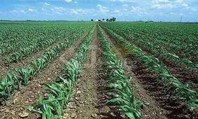 رهاسازی آب مورد نیاز کشت کشاورزان و دامداران پایین دست حوزه کرخه 