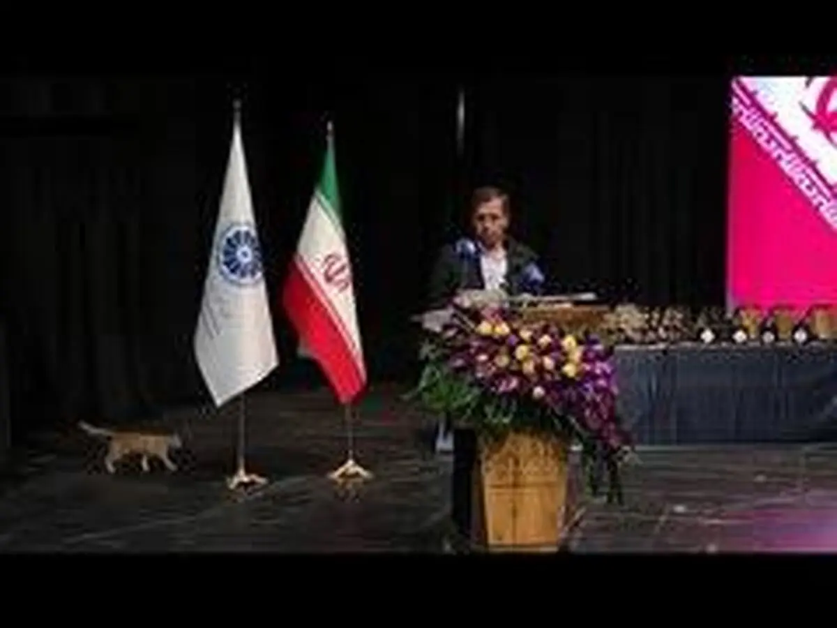 ورود یک گربه به سالن همایش هنگام سخنرانی وزیر اقتصاد/ ویدئو