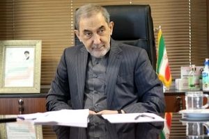 توصیه ولایتی به نهادهای مسئول درباره فضای مجازی