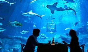 زیباترین و البته ترسناک ترین اتاق خواب جهان در فرانسه/ ویدئو