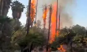 ماجرای آتش‌سوزی در باغ گردشگری چشمه بلقیس چرام

