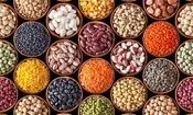 کاهش ۲۵ درصدی قیمت حبوبات
