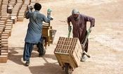 هشدار درباره بازار سیاه کار؛ مهاجران غیرمجاز چه نقشی دارند؟