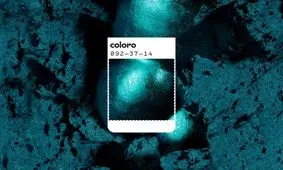 رنگ سال 2026 انتخاب شد؛ از مد و دامن تا دوچرخه و سرویس خواب/ تصاویر