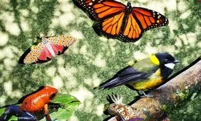 جانورانی که مار می‌خورند تا افعی شوند