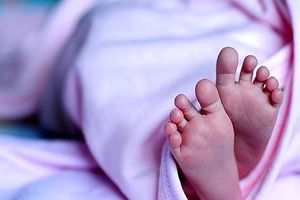 نوزاد 6 روزه تحویل بهزیستی شد