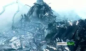 پیدا شدن ۳۰ تا ۳۵ جسد در محل سقوط هواپیمای مسافربری در هند