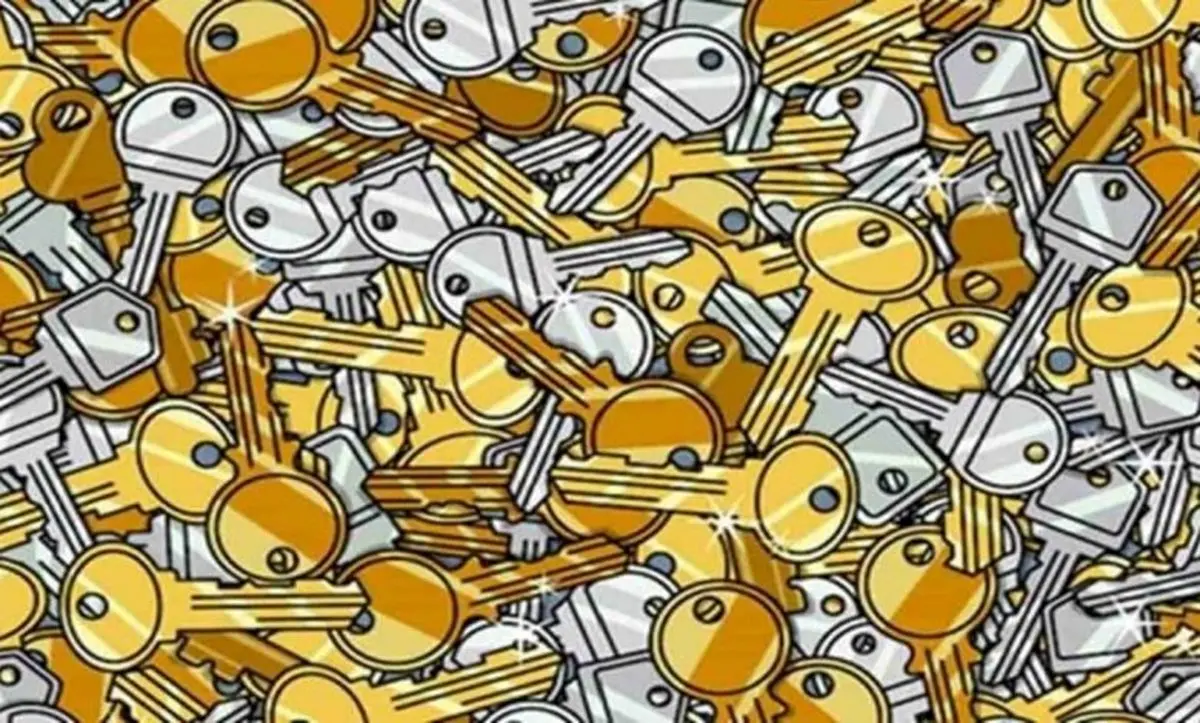 تست بینایی/ آیا می توانید چهار کلید قدیمی را بین این همه کلید جدید و مدرن پیدا کنید؟