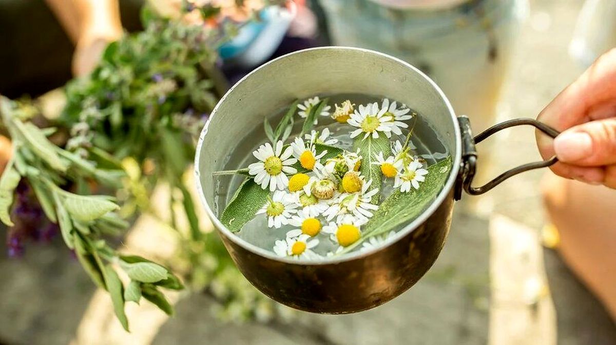 این گیاهان را جایگزین داروهای مسکن کنید