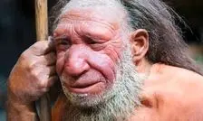 رد باوری قدیمی؛ بینی بزرگ نئاندرتال‌ها برای سازگاری با سرما تکامل نیافته بود