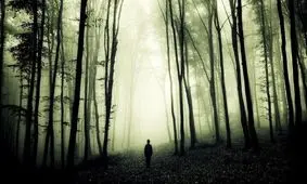 تصاویر ترسناک‌ترین جنگل دنیا