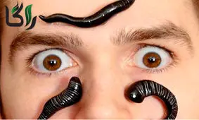 متخصصان طب سنتی: زالو درمانی هم خوب و هم قانونی است/ بیماران صدمه دیده: هم هزینه فراوان دادیم، هم بیماری تشدید شد