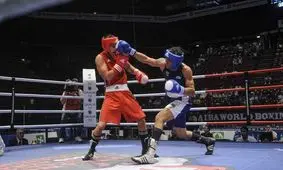 یک بیماری که بوکسور‌ها را مبتلا می کند