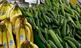 چرا خیار گران شده است؟