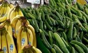 چرا خیار گران شده است؟