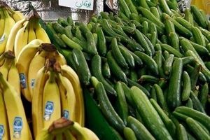 چرا خیار گران شده است؟