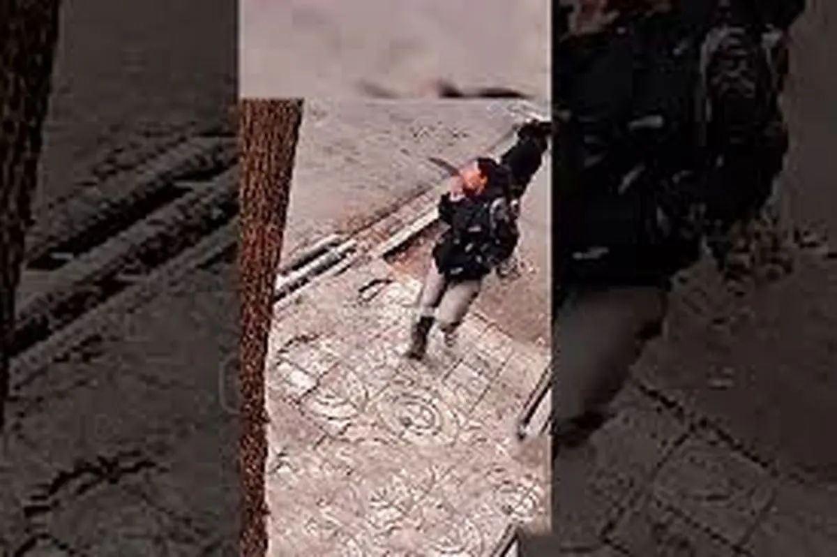 لحظه هولناک سرقت گوشی آیفون در جنوب تهران/ ویدئو 