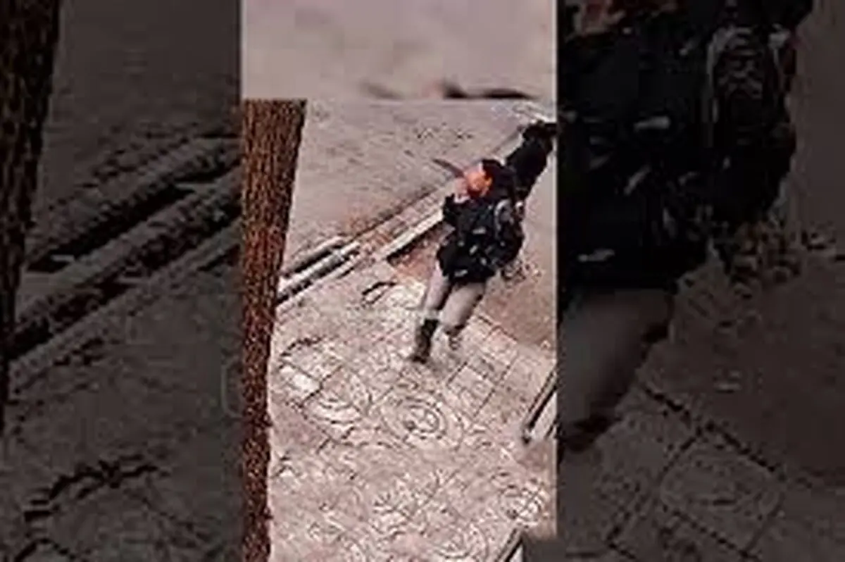 لحظه هولناک سرقت گوشی آیفون در جنوب تهران/ ویدئو 