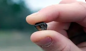 مردی که برای تماشای فضاپیما رفته بود، یک «الماس» استثنایی کشف کرد