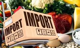 آشنایی با نکات مهم و مراحل واردات مواد غذایی