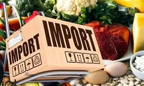 آشنایی با نکات مهم و مراحل واردات مواد غذایی