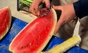 شیوه رنگ کردن هندوانه برای فروش/ ویدئو