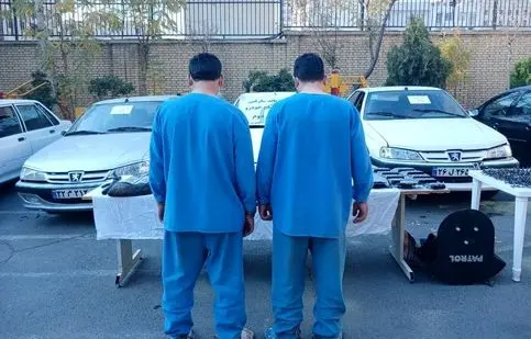 جزئیات بازداشت دزدان مسلح شهر زیبا از زبان پلیس/ ویدئو