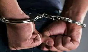 پرونده پر از خلاف 2 برادر تهرانی / یکی در ایران و دیگری در خارج از کشور