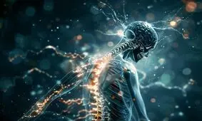 نخاع می‌تواند مستقل از مغز عمل کند

