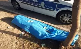 ادامه روند افزایشی قربانیان حوادث رانندگی در سال ۱۴۰۰ / مرگ ۱۰ هزار و ۲۶۶ نفر