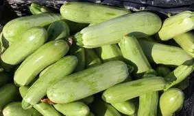 یک خوردنی کم کالری برای کاهش نفخ