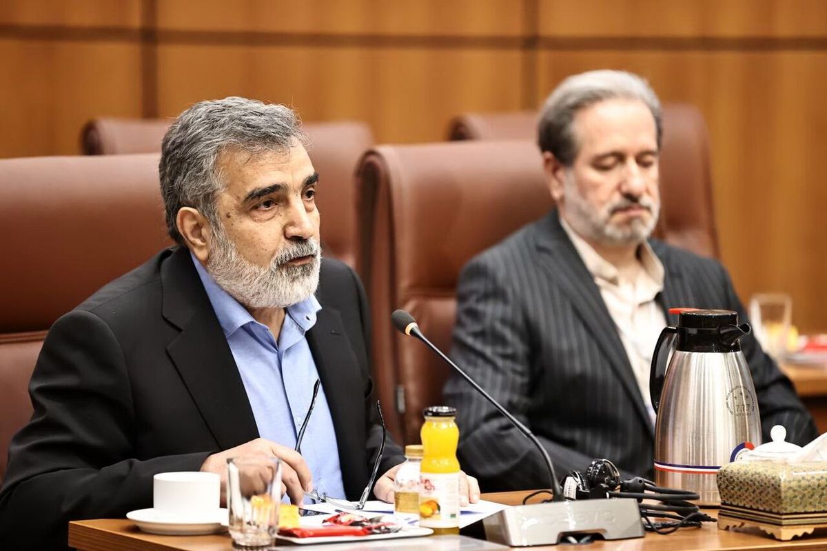 آماده انتقال دانشهستهای به همه کشورها هستیم/مذاکرات با آژانس باید در چارچوب پادمانی باشد