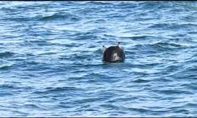 ژاپن: مین‌روب به تنگه هرمز نمی‌فرستیم