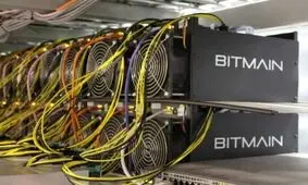 استخراج بیت‌ کوین از کود حیوانی!