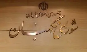تکذیب نامه همسر رئیس جمهور شهید به شورای نگهبان/ دستگاه قضایی با شایعه‌سازان برخورد کند