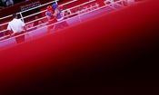 پایان دوران مربیان خارجی و آغاز فصل تازه بوکس ایران

