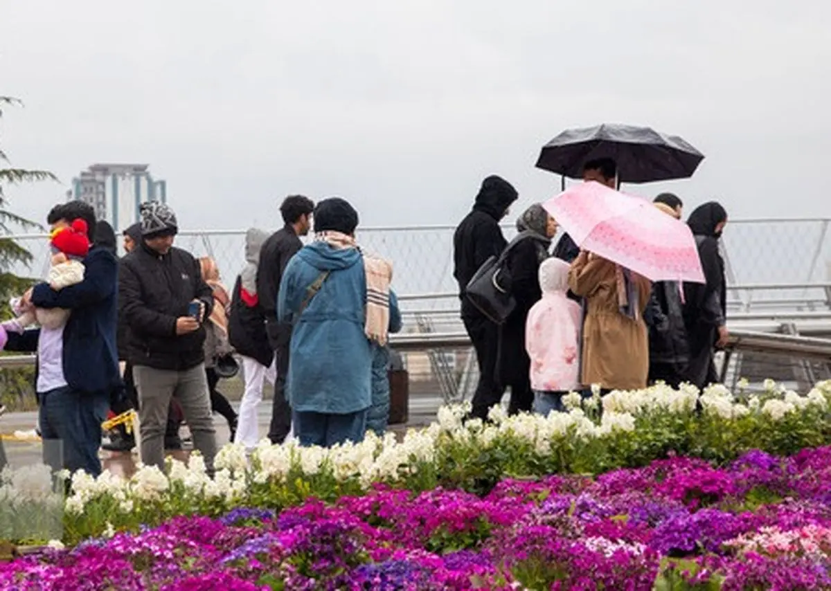 هشدار هواشناسی نسبت به بارش باران و وزش باد شدید در تهران

