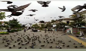  پرواز بر فراز رشت