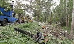 زخمی شدن مامور یگان حفاظت لردگان در برخورد با قاچاقچیان چوب