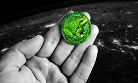 پپه؛ سود ۸۰۰ میلیونی از قورباغه شگفت‌انگیز!