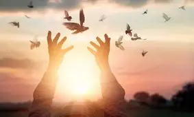 زندگی‌‌تان را از نو بسازید