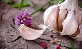 این افراد لب به سیر پرخاصیت نزنند