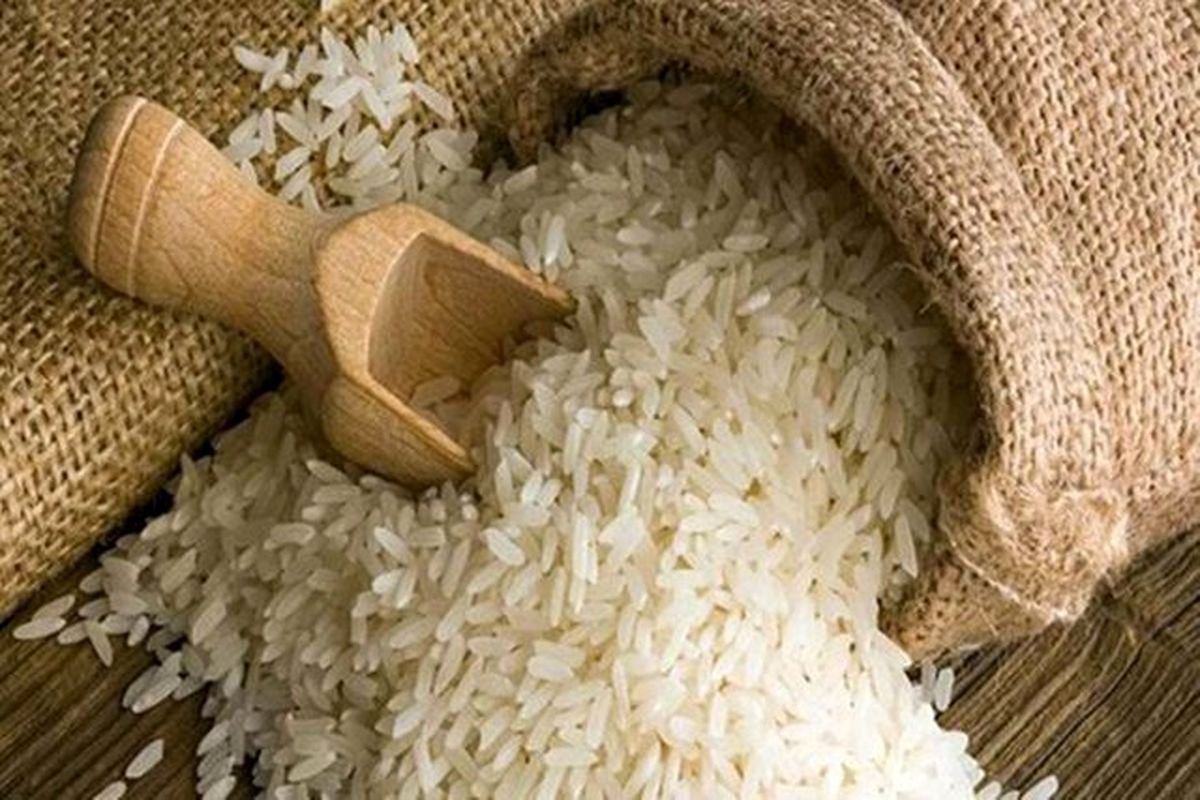 افزایش مجدد قیمت برنج در یک هفته اخیر/ رییس اتحادیه شالیکوبی‌داران مازندران: ۸۰ درصد برنج داخلی را دپو کرده‌اند