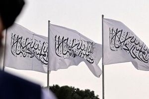 طالبان انتشار تصویر موجودات زنده را ممنوع کرد