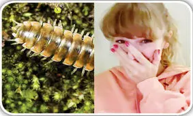 اشتراک علی‌ دایی و تیلور سوئیفت