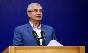 ربیعی: دولت به سمت غیرشفافیت حرکت می‌کند