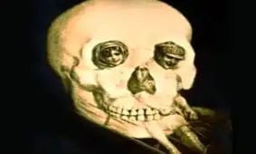 در این عکس چه چیزی مشاهده می‌کنید؟ 