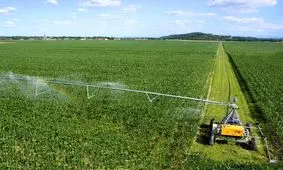 استاندار خوزستان: سهم نیشکر برای تکمیل طرح ۵۵۰ هزار هکتاری در حال نهایی شدن است